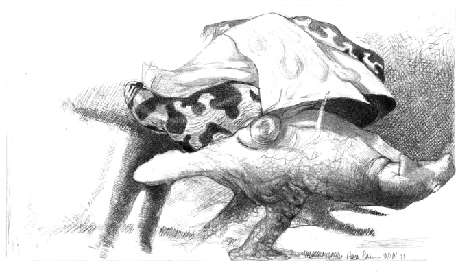 joutomailla