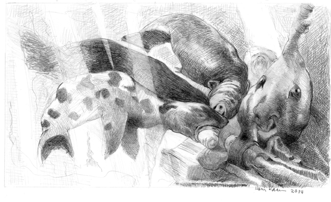 joutomailla